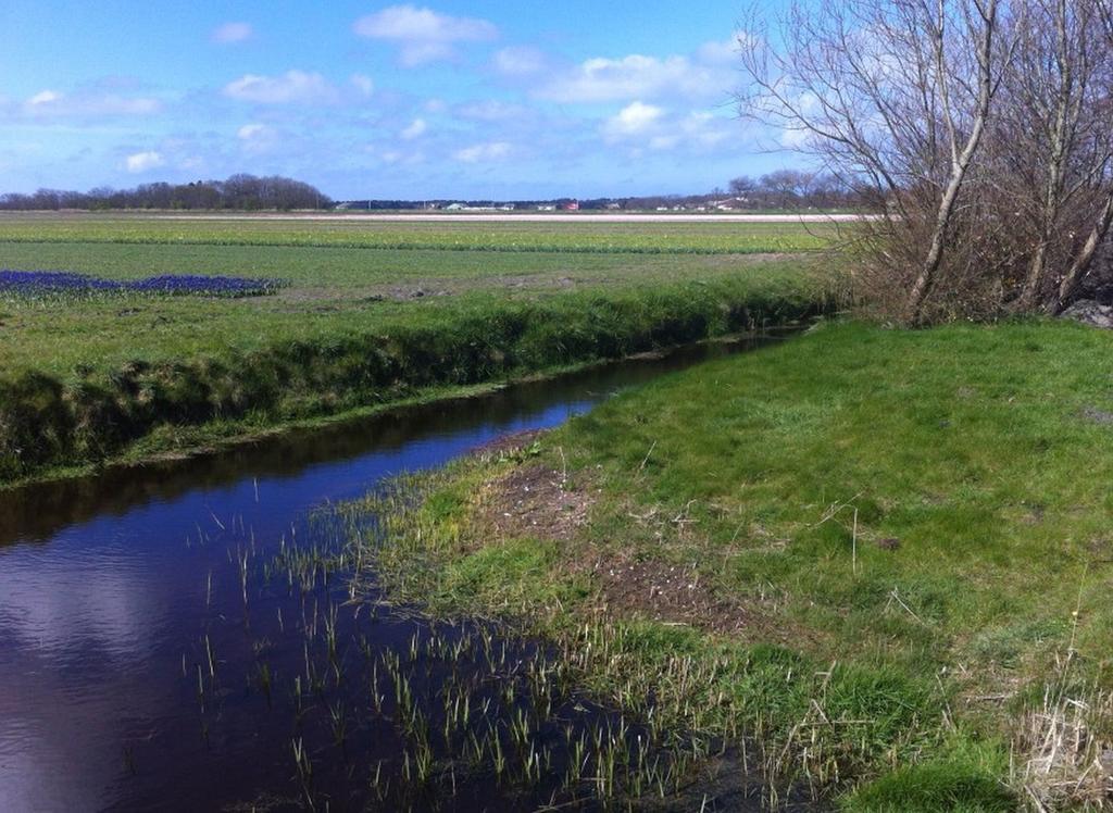 Strand49 Glamping Sint Maartenszee Sint Maartensvlotbrug エクステリア 写真
